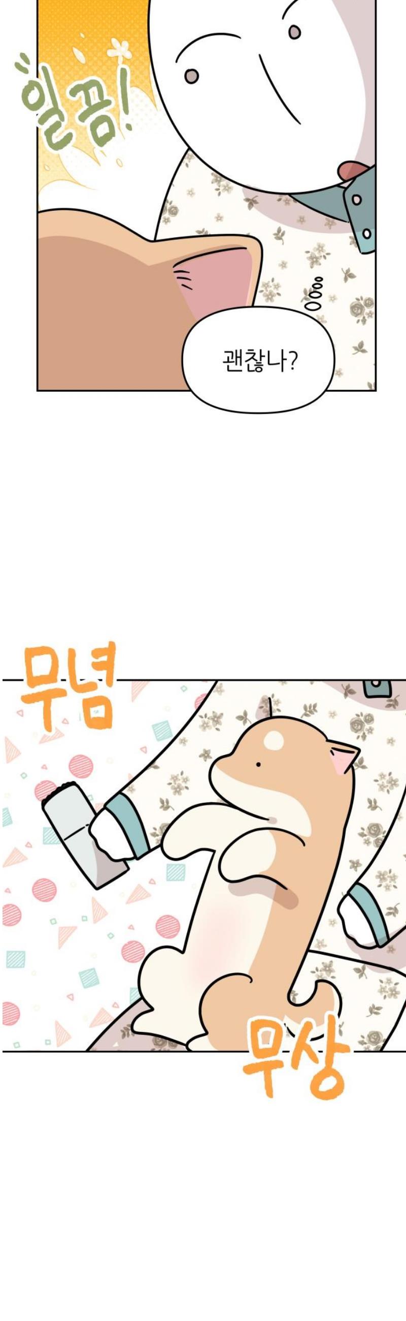 010.jpg