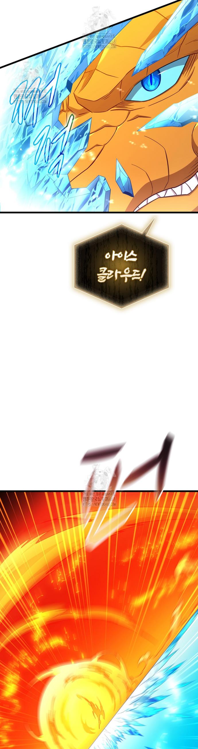 009.jpg