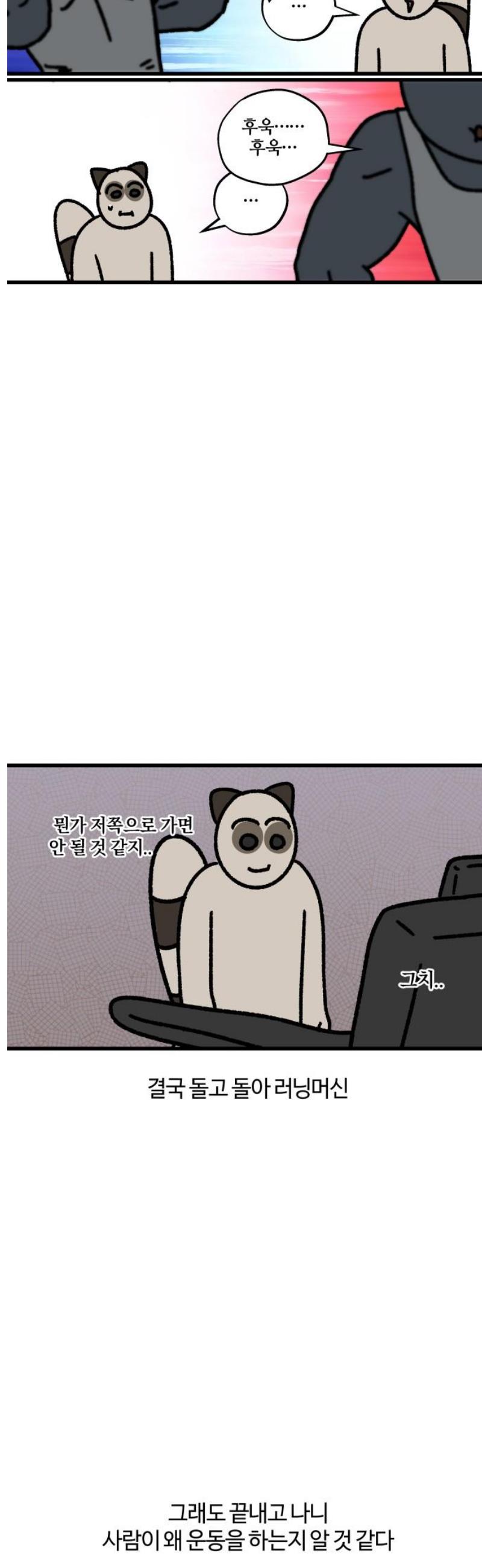005.jpg