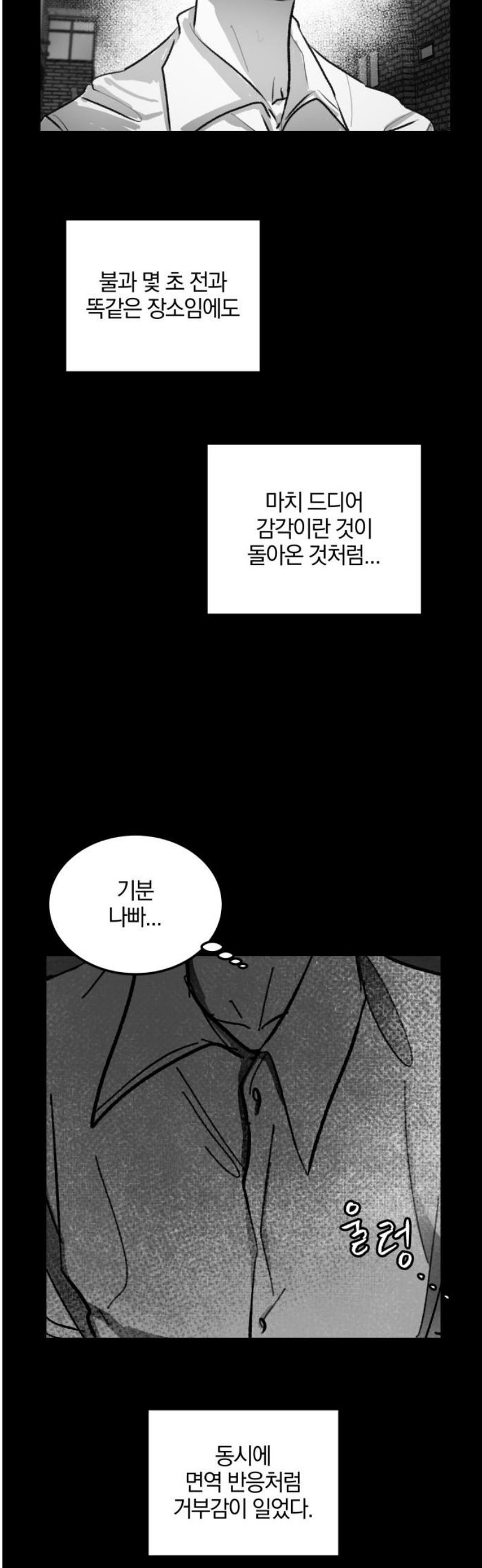031.jpg
