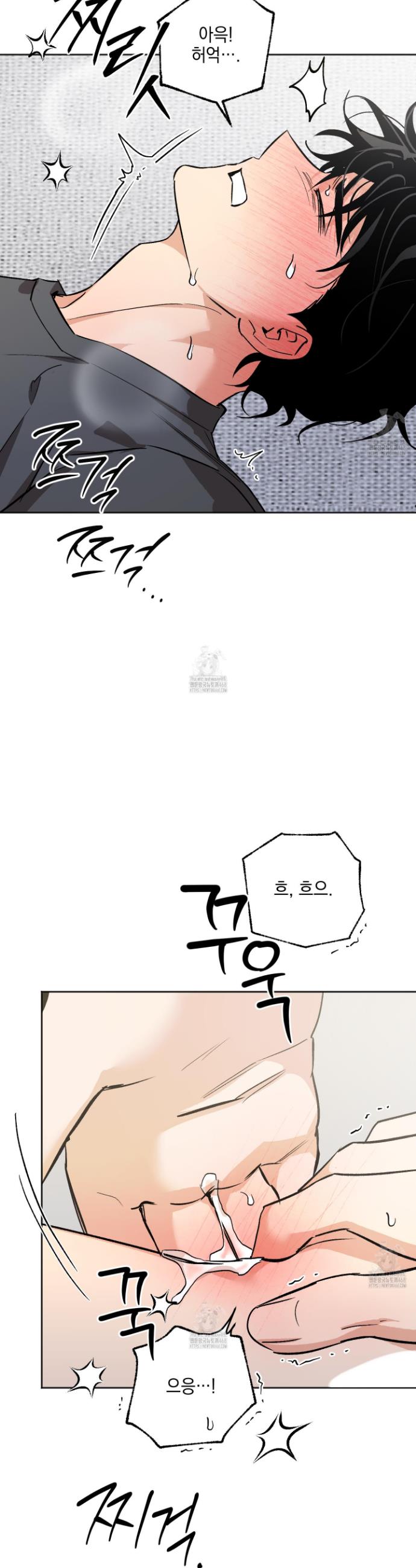 010.jpg