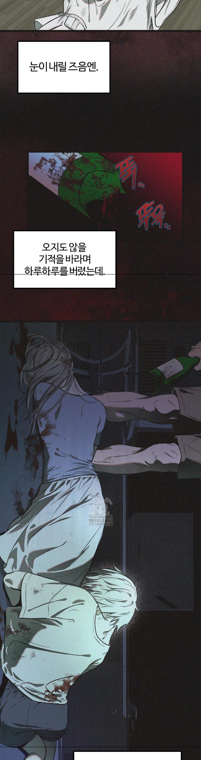 005.jpg