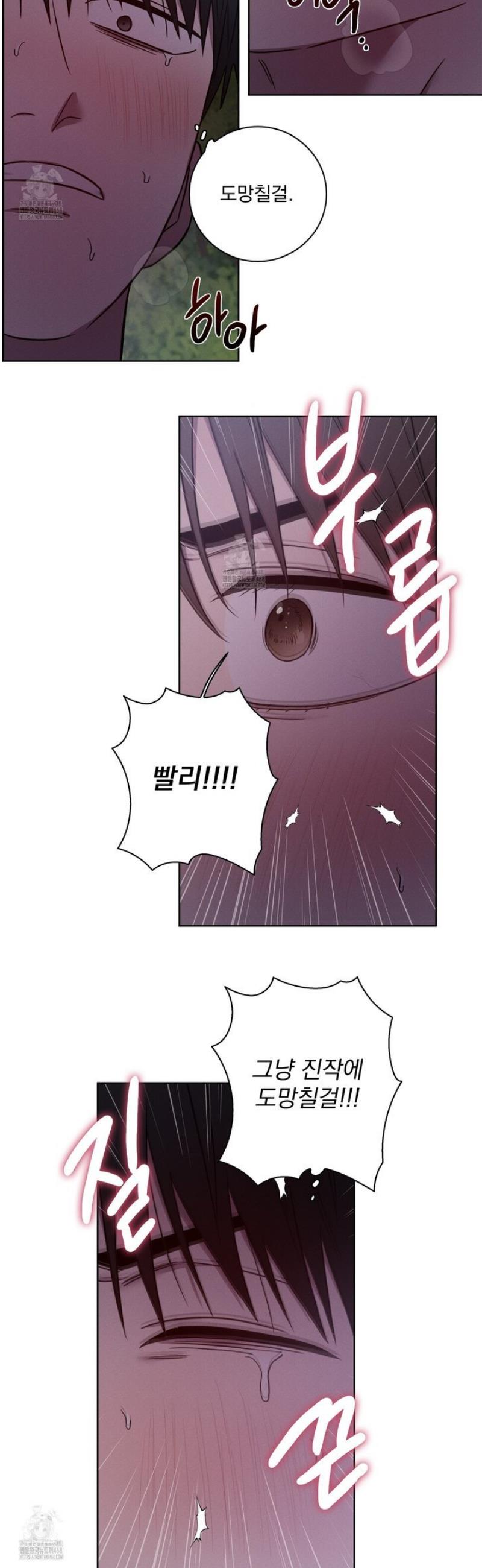 009.jpg