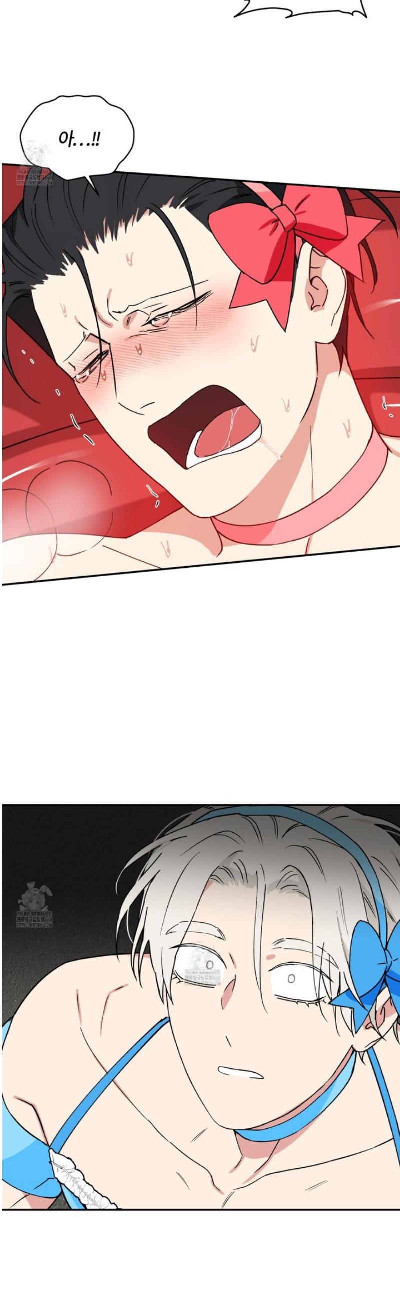 008.jpg