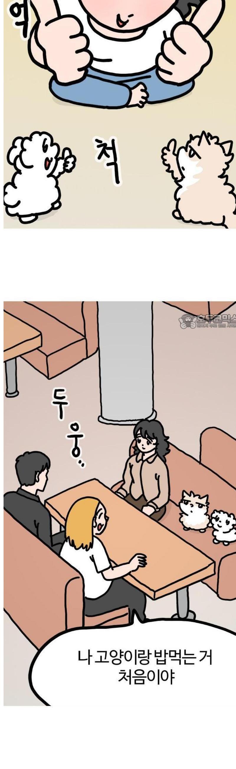 007.jpg