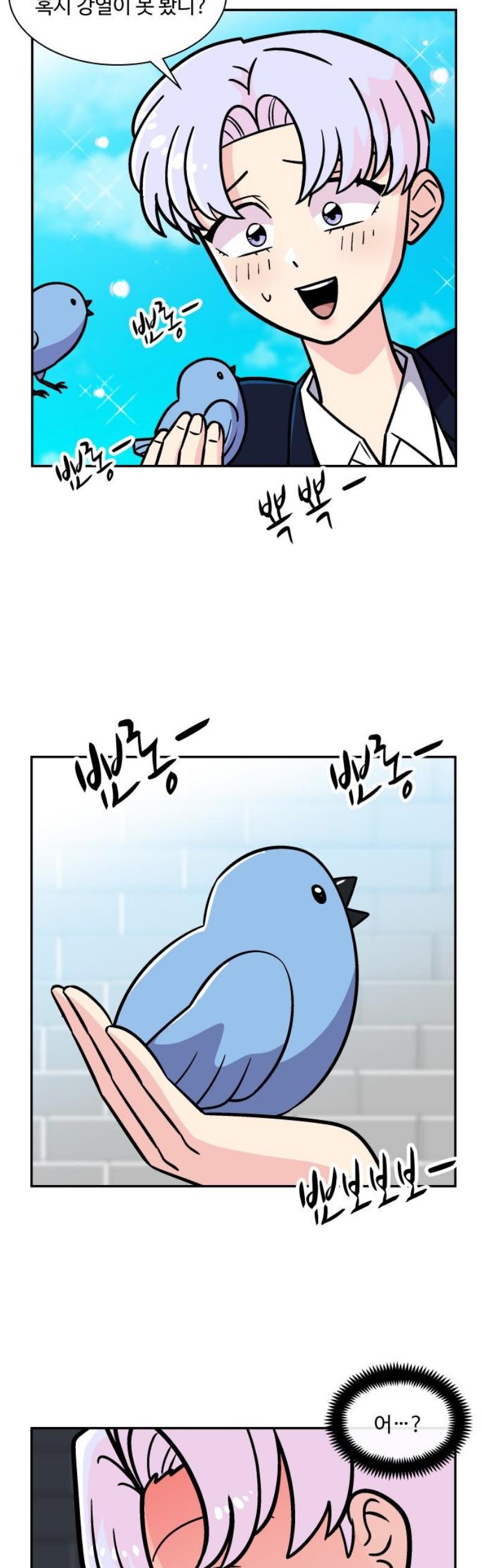 005.jpg