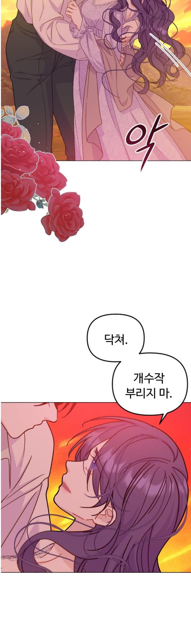 008.jpg