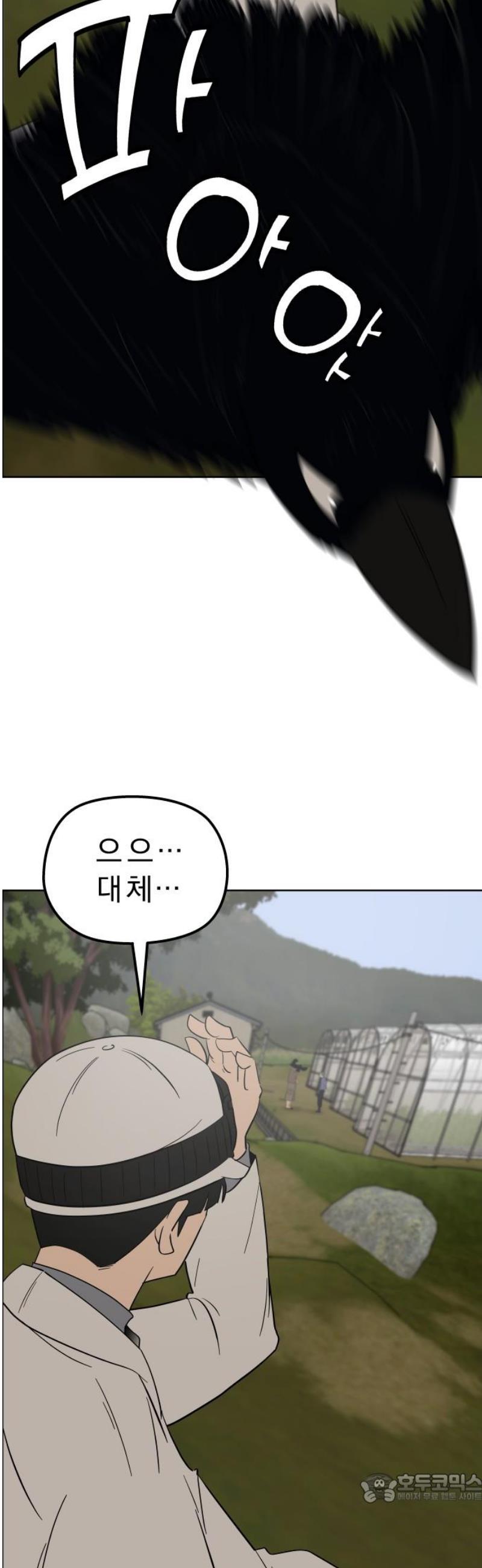 004.jpg