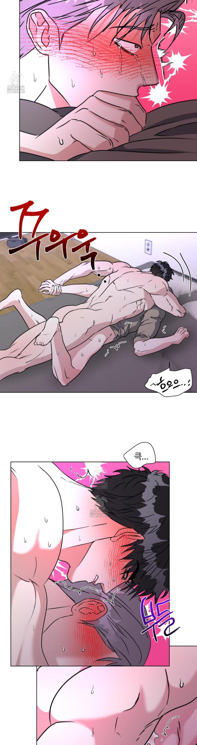 003.jpg