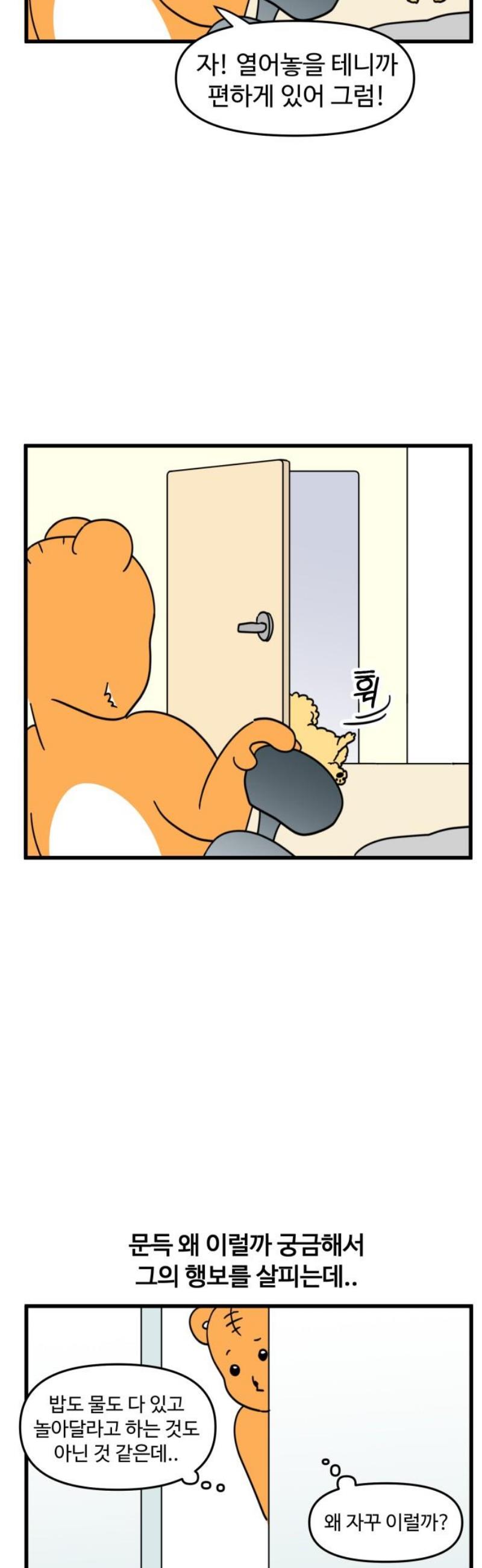 009.jpg