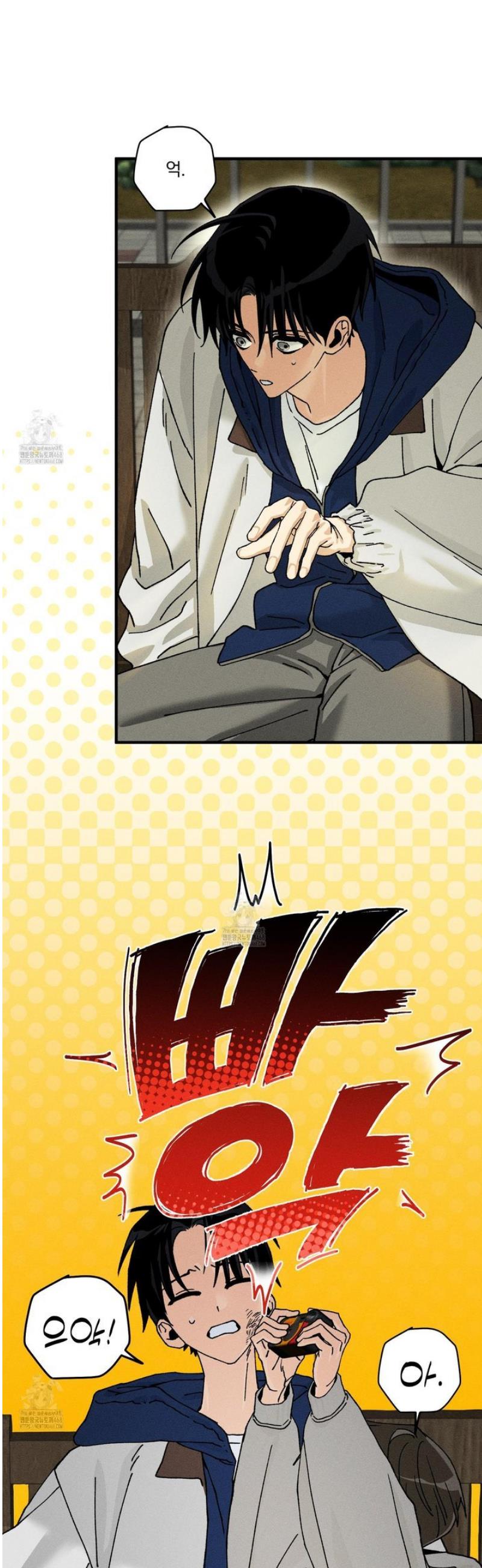 006.jpg