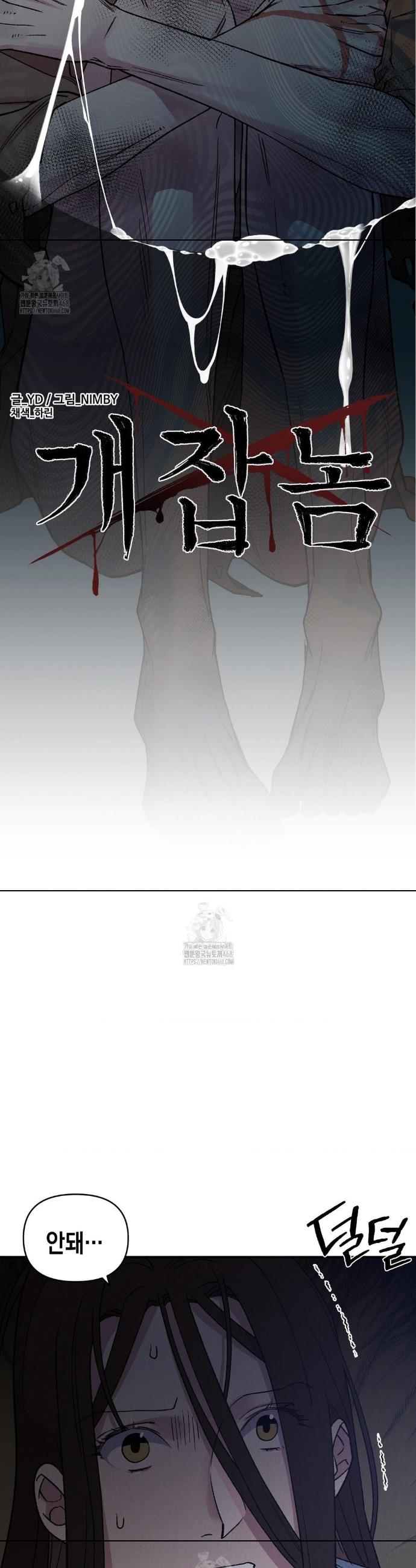 005.jpg