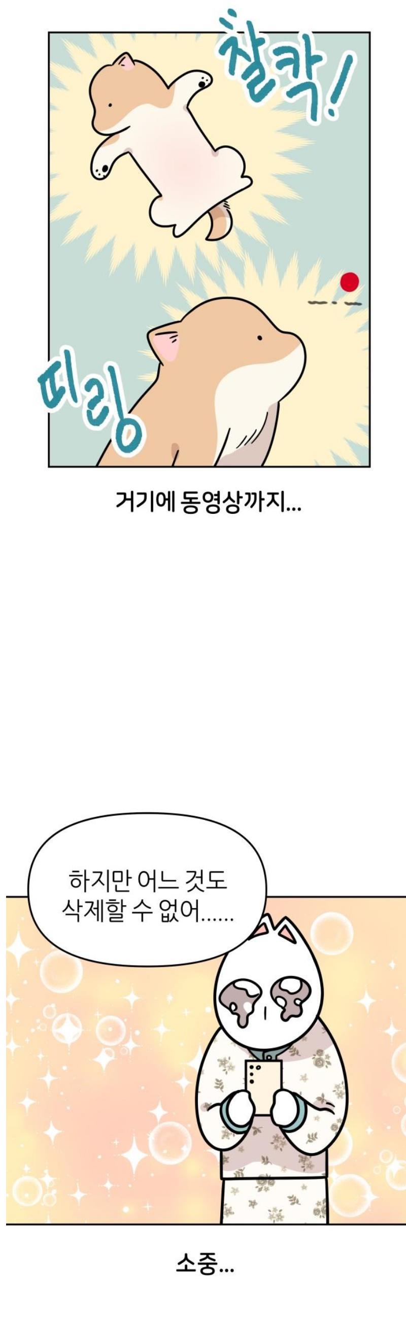 005.jpg