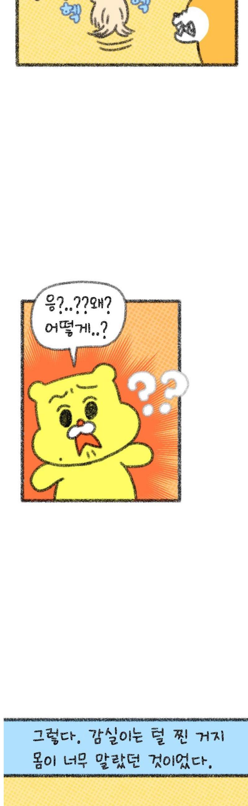 005.jpg