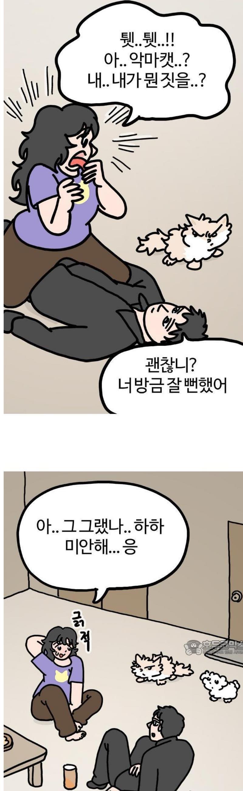 003.jpg