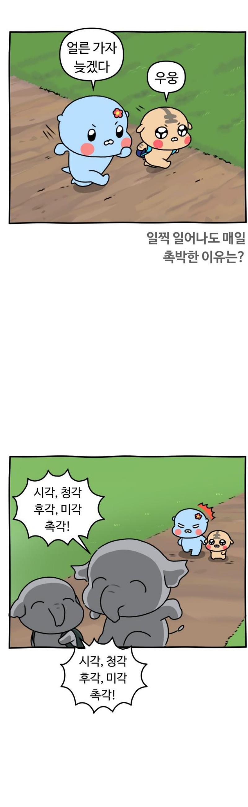 007.jpg