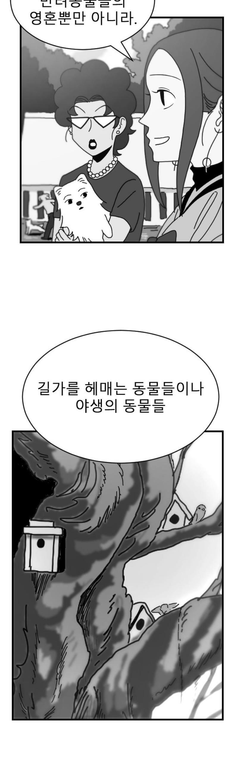 003.jpg