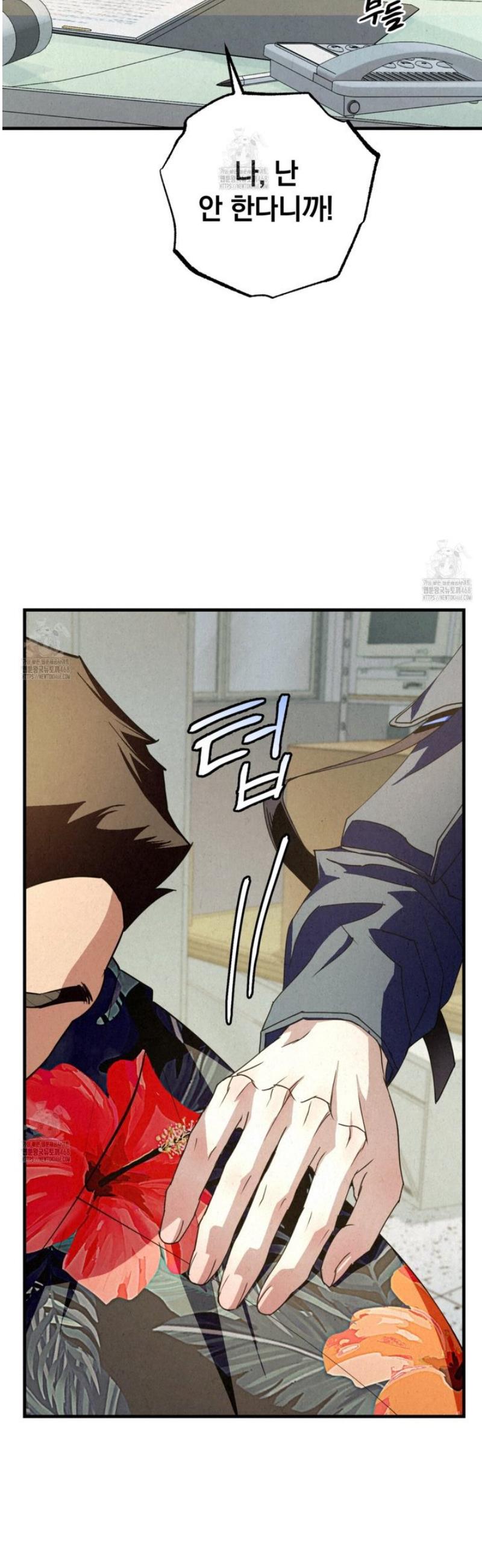 006.jpg