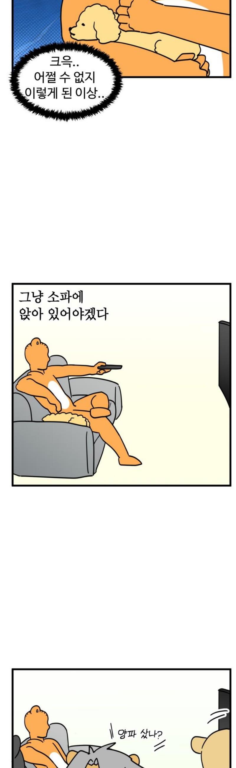 003.jpg