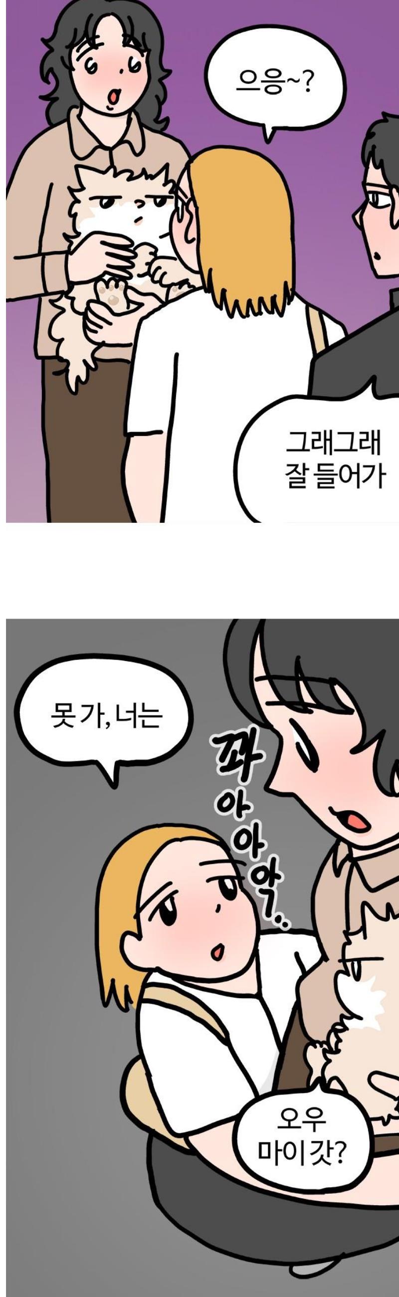 011.jpg