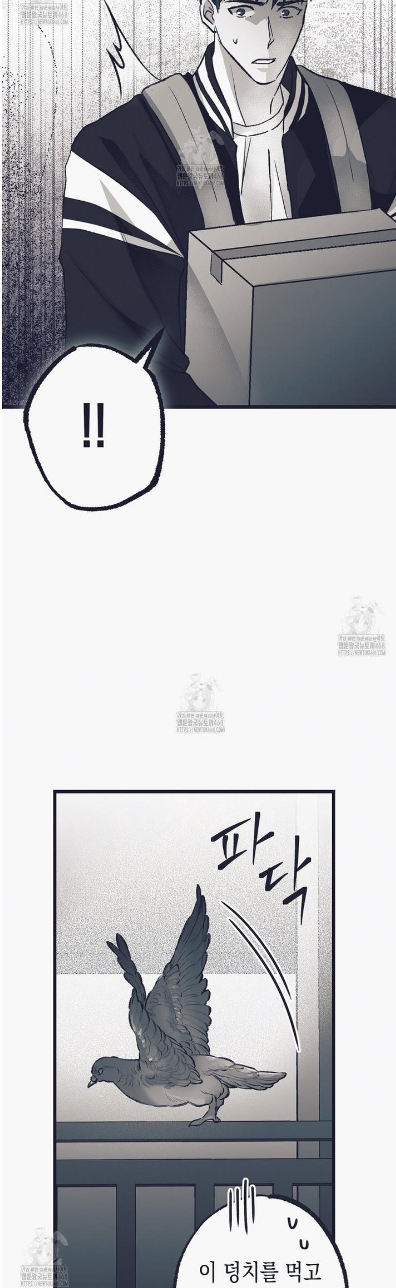 006.jpg