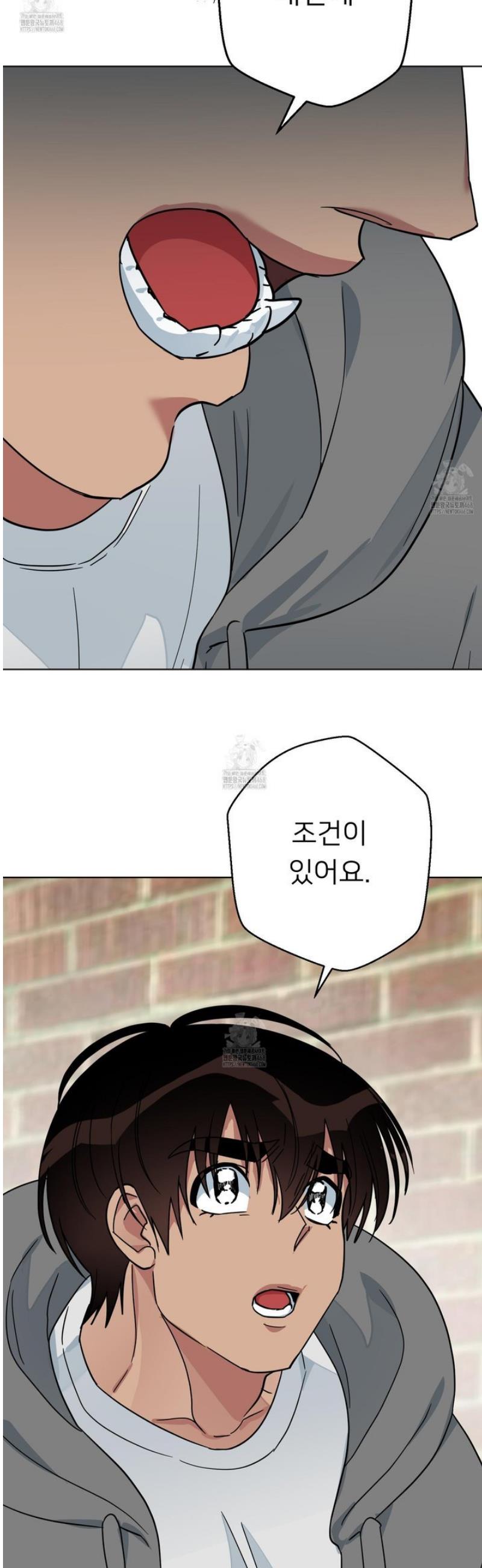 009.jpg