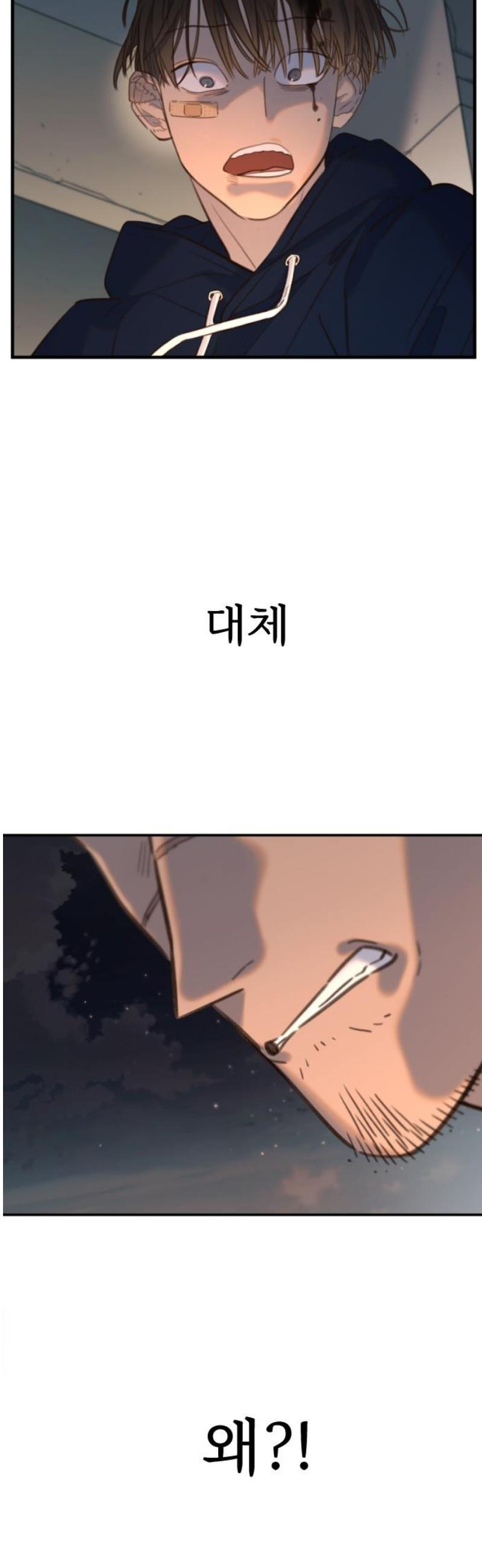 005.jpg