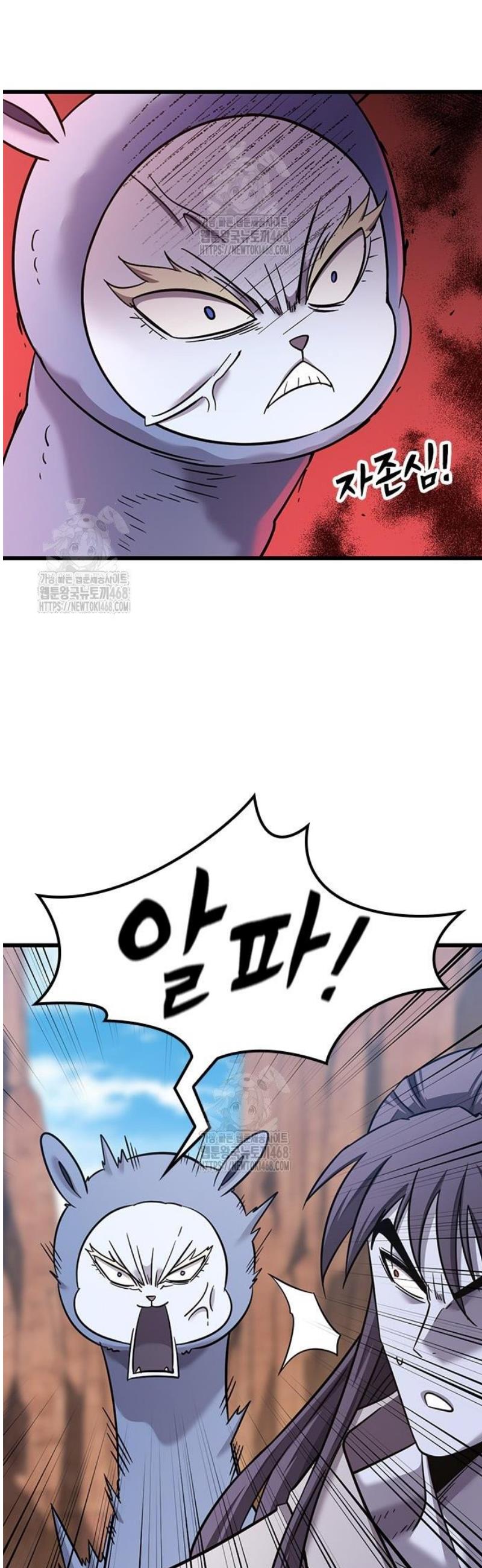 005.jpg