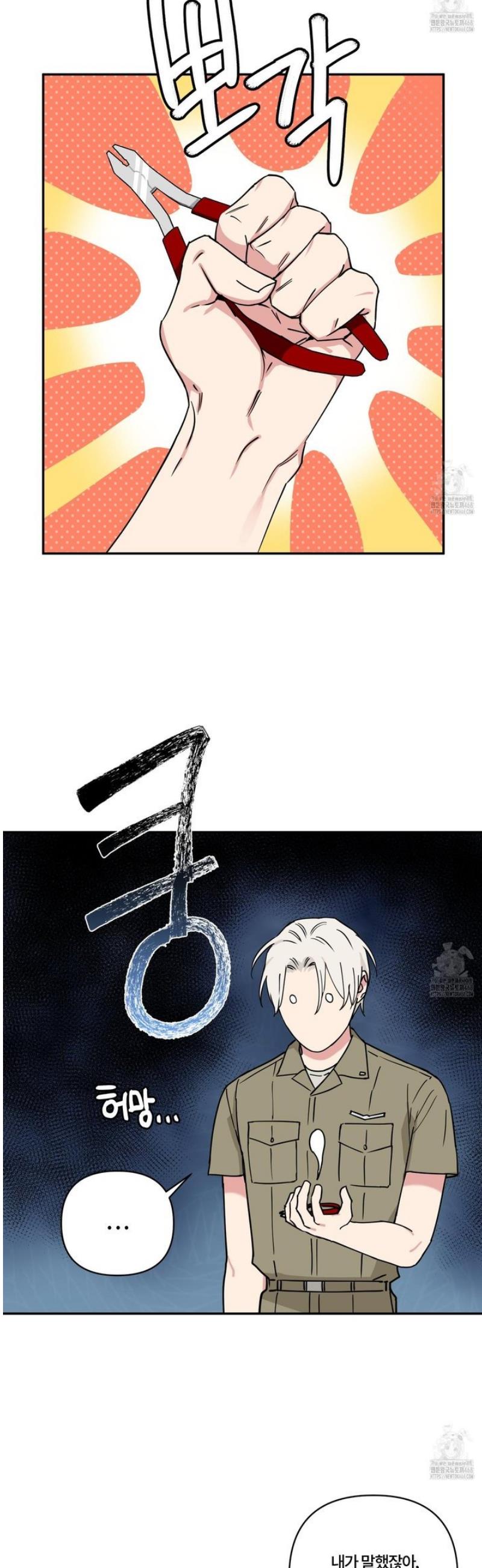 005.jpg