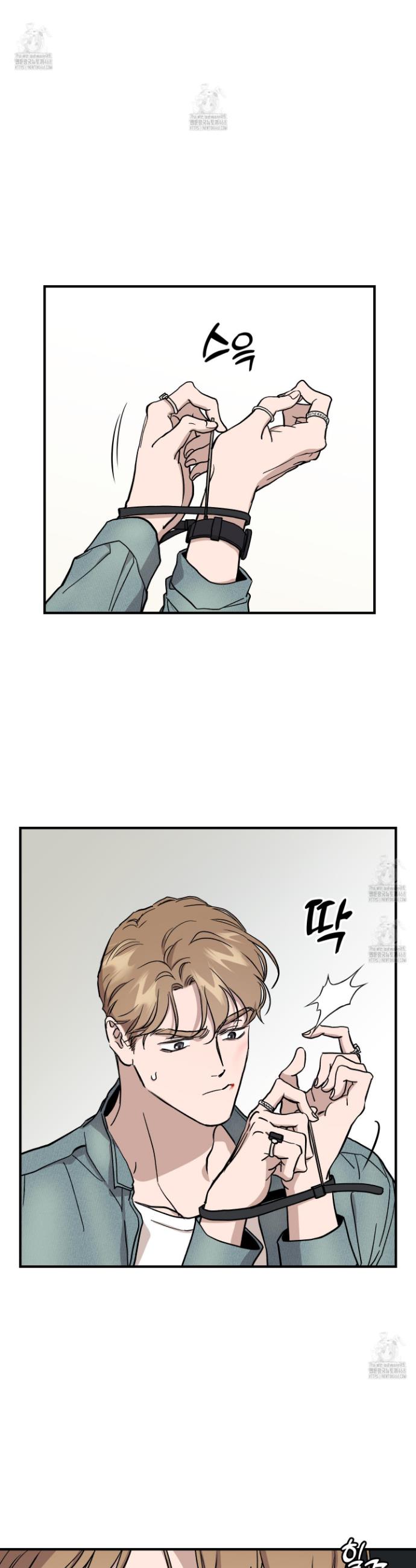 006.jpg