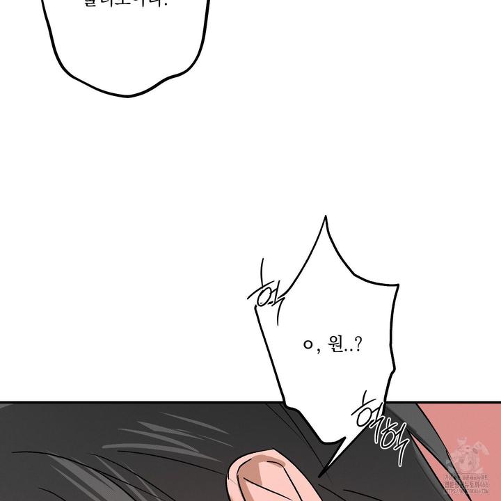 110.jpg