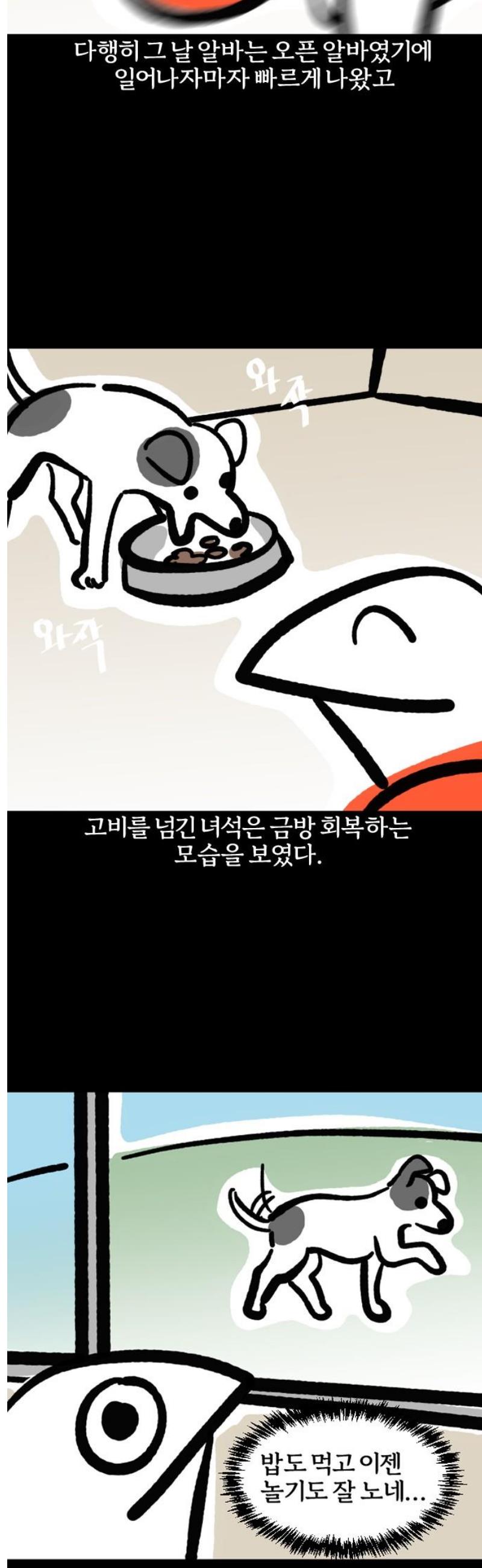 007.jpg
