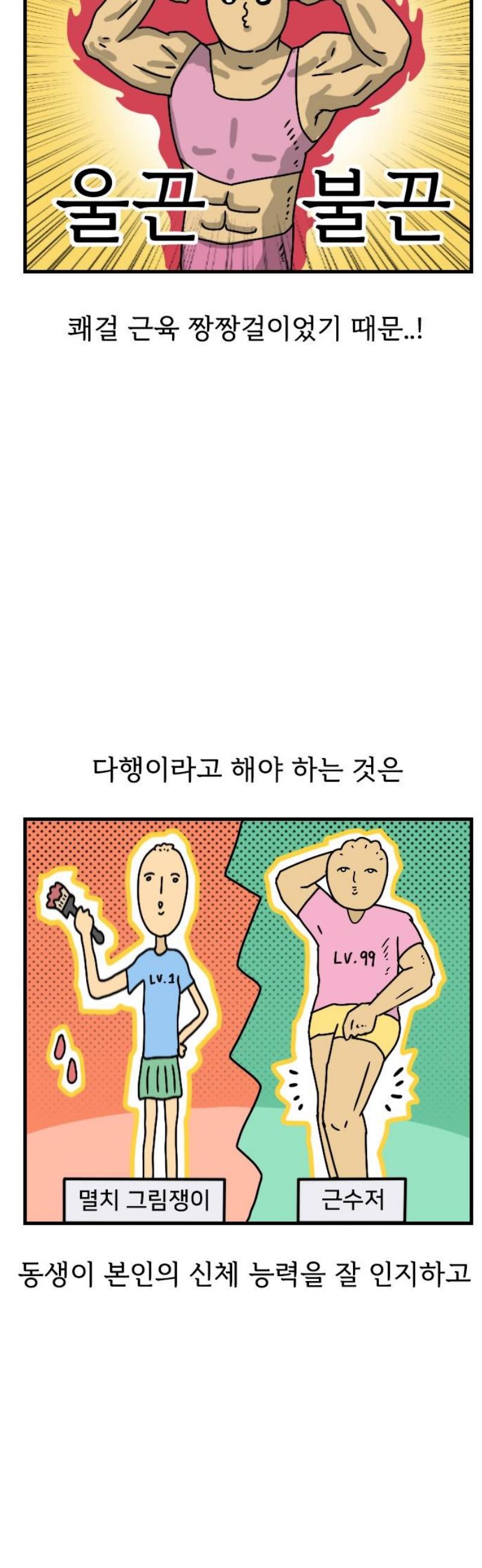 003.jpg