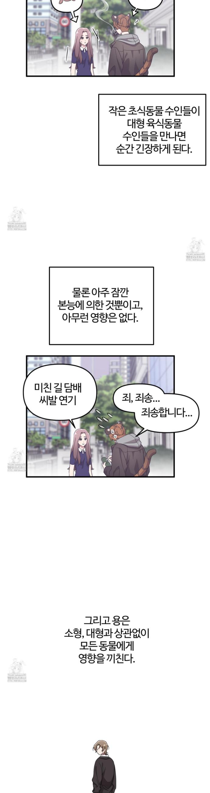 010.jpg
