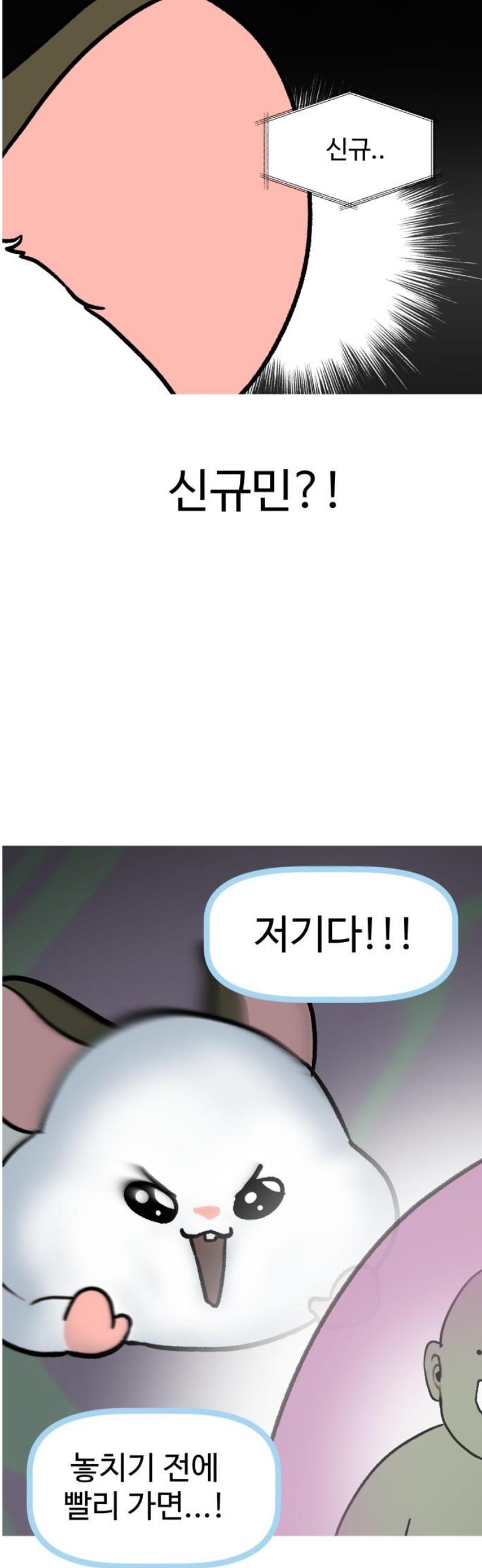 031.jpg