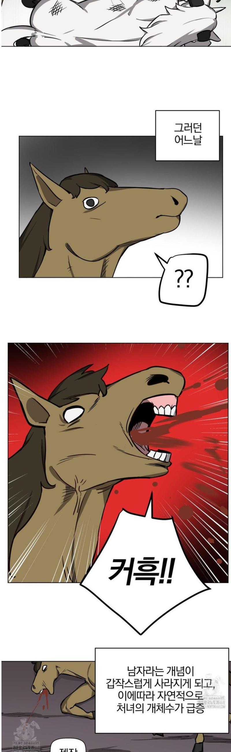 005.jpg