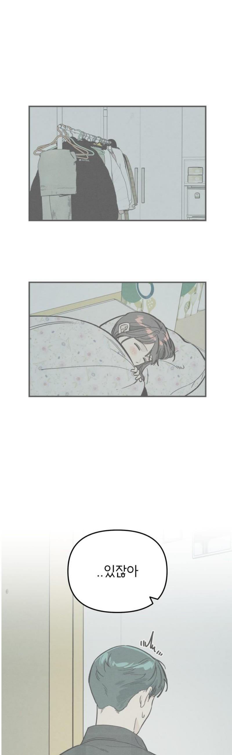005.jpg