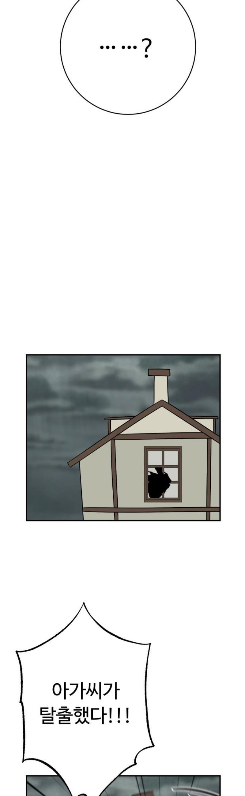 003.jpg