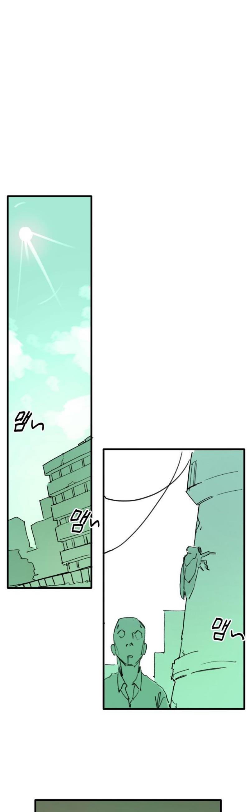 003.jpg
