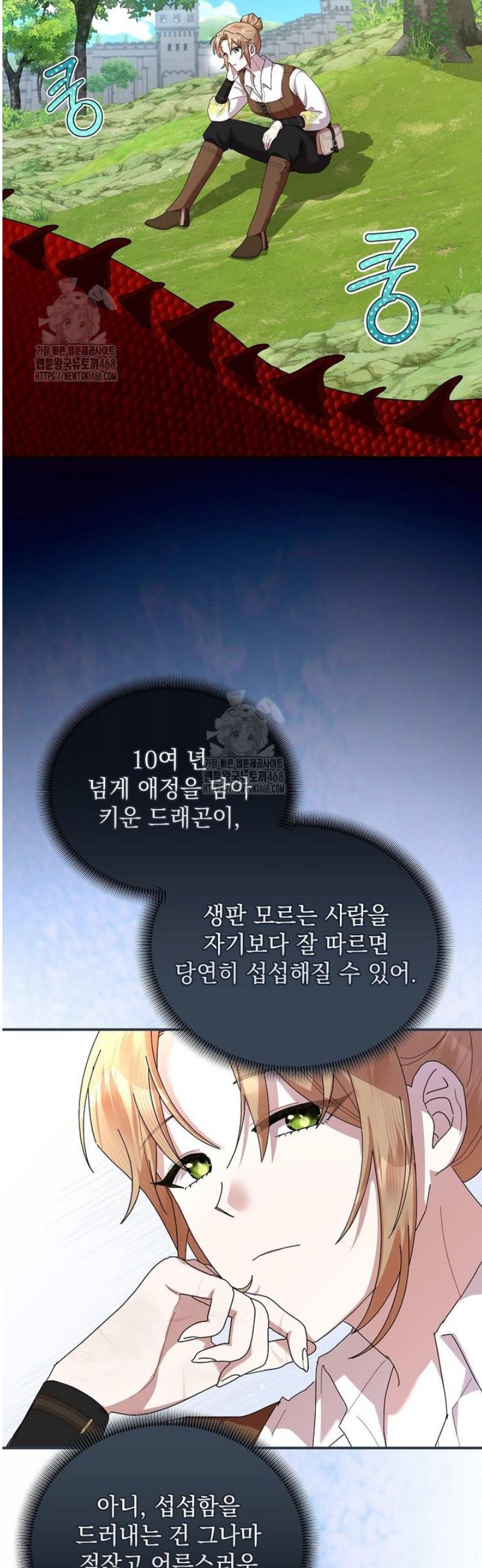 003.jpg