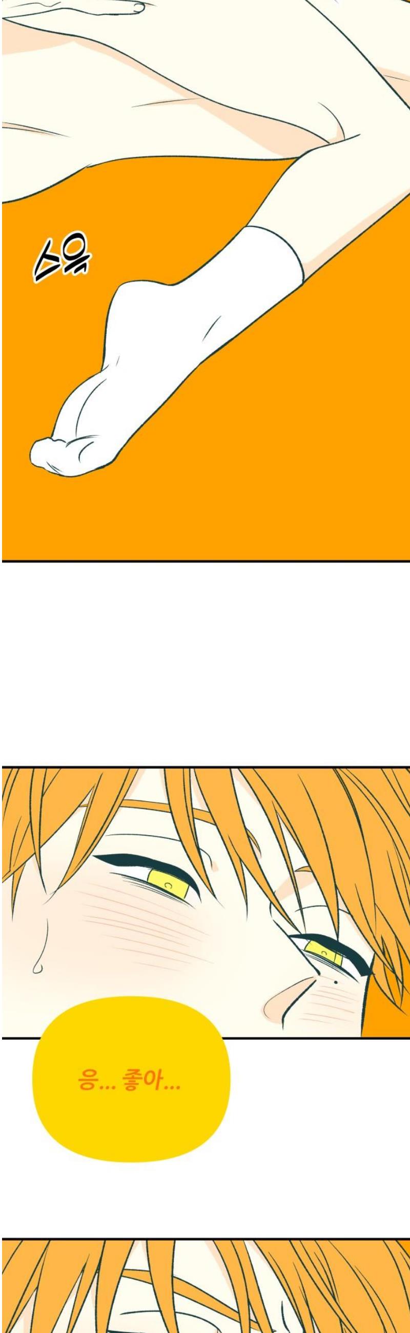 003.jpg