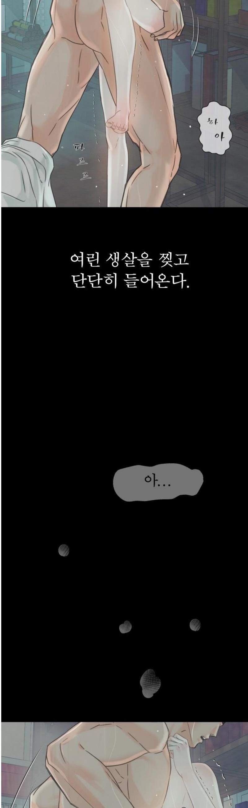 050.jpg