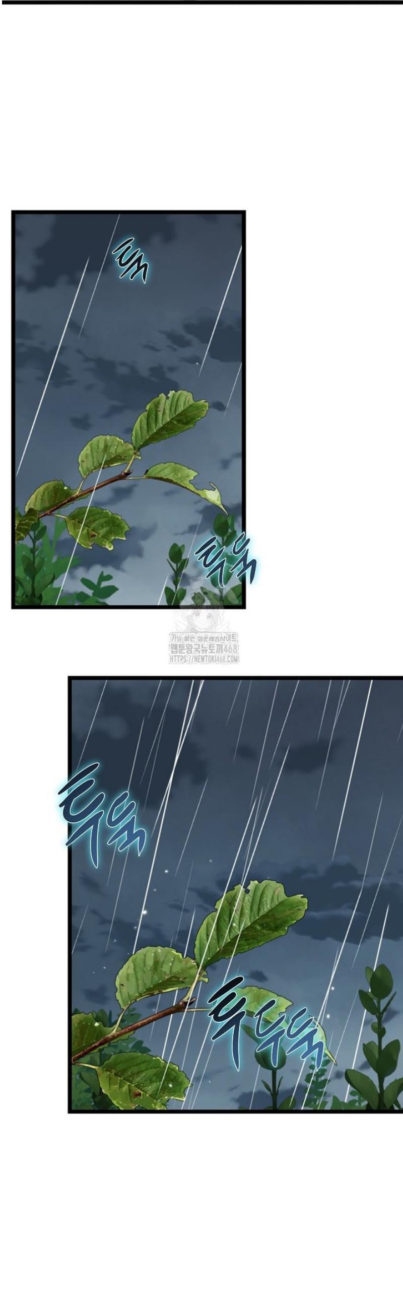 003.jpg