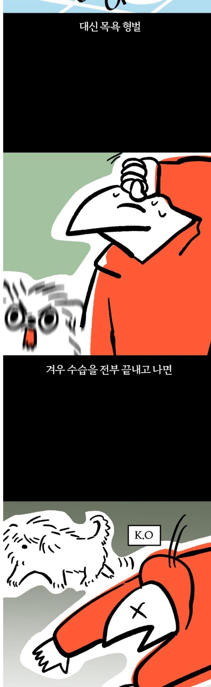 013.jpg