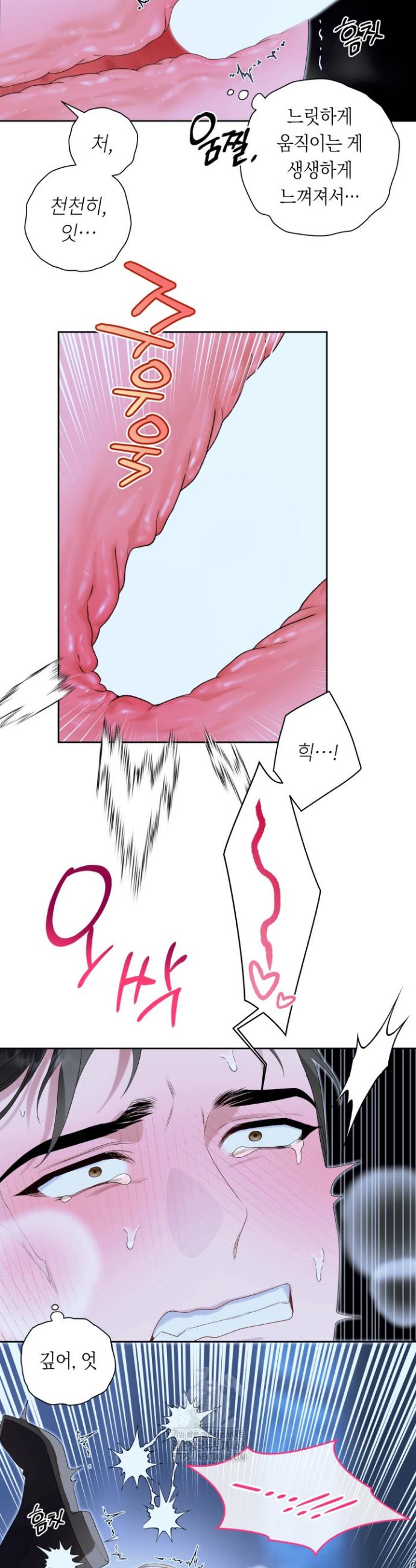 005.jpg