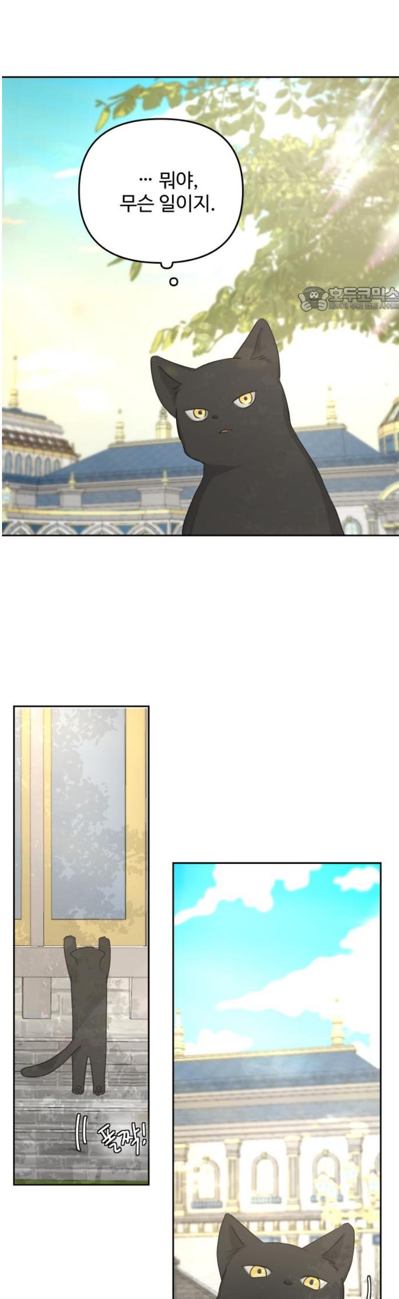 009.jpg