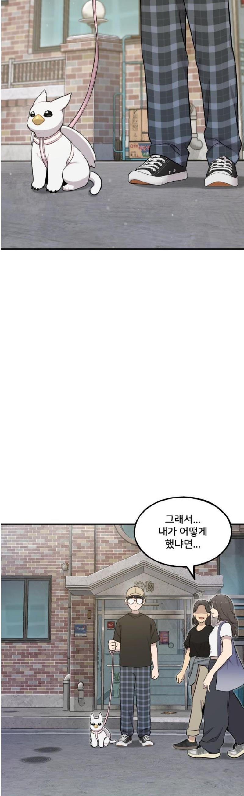 006.jpg
