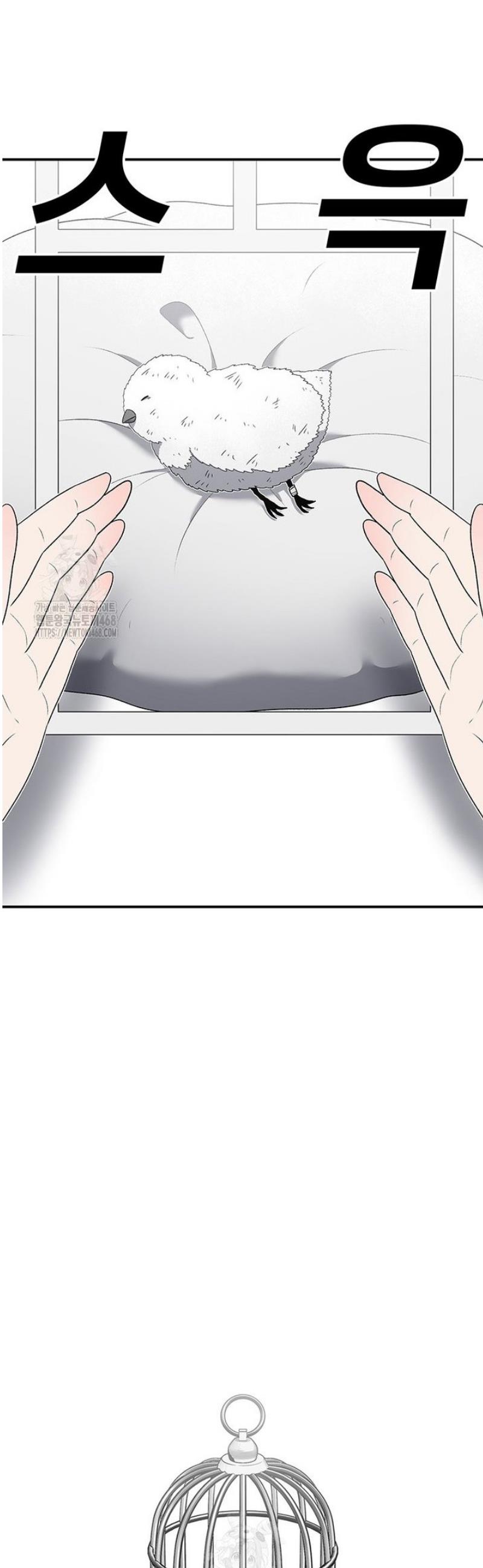 004.jpg