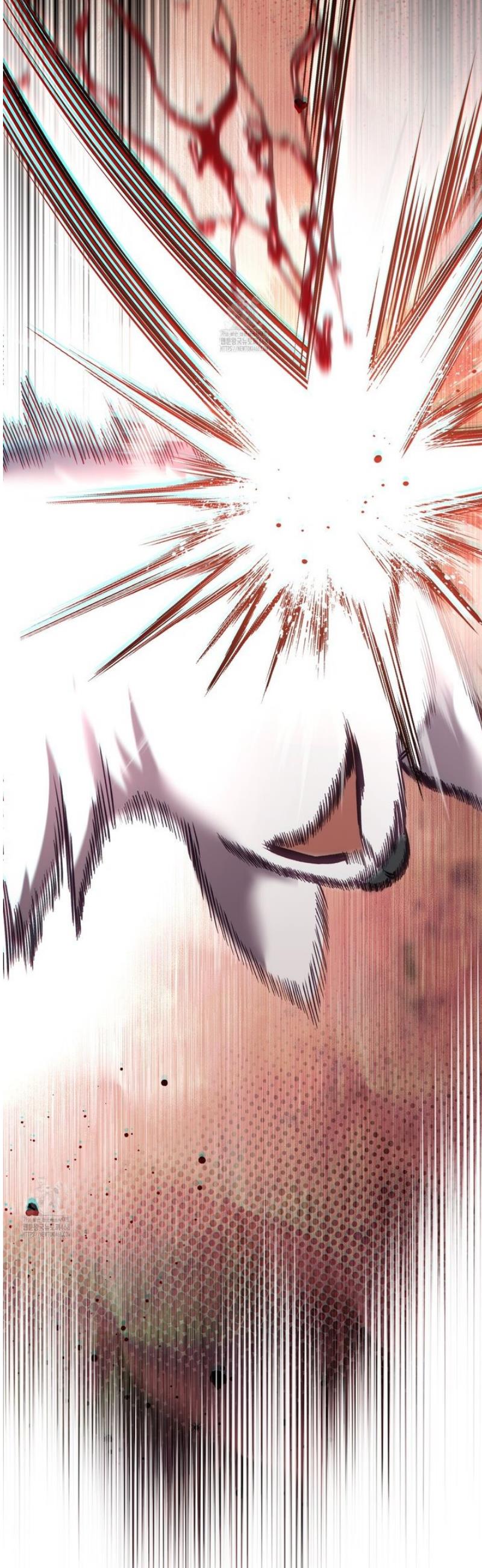 003.jpg