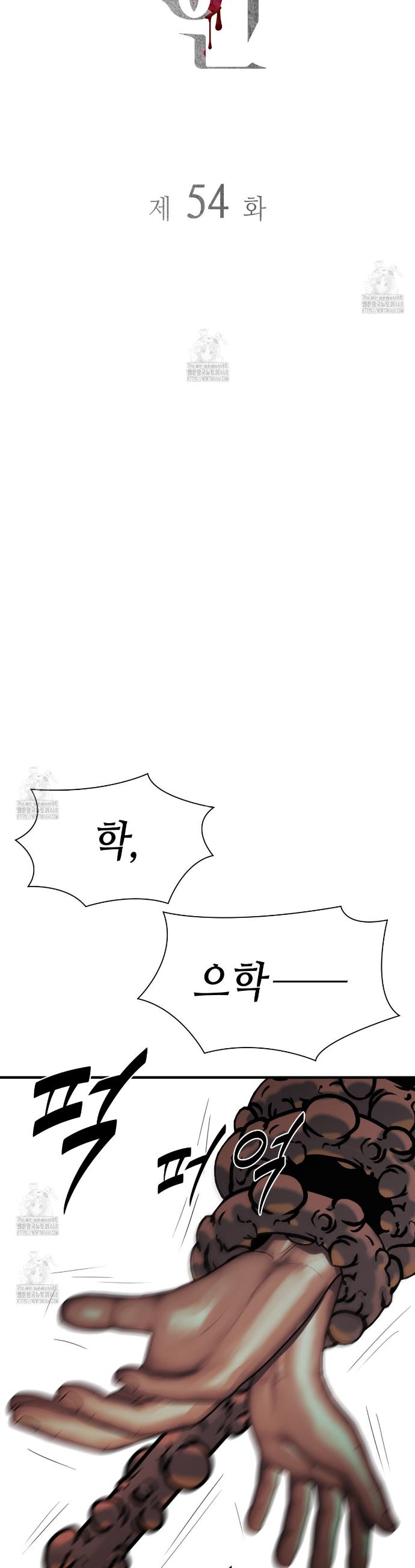 008.jpg
